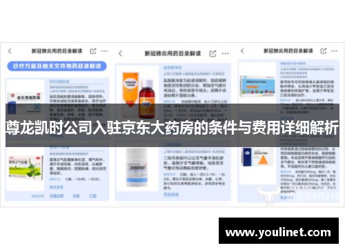 尊龙凯时公司入驻京东大药房的条件与费用详细解析