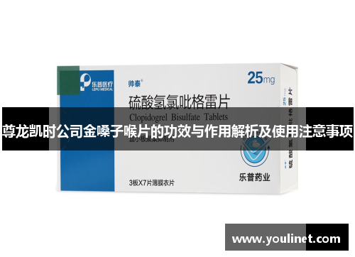 尊龙凯时公司金嗓子喉片的功效与作用解析及使用注意事项